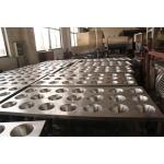 Farms Slaughtering Equipment Accessories Small Capacity SS Poultry Bloodletting