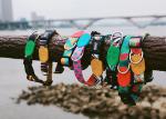 1 1 2 Inch Martingale Dog Collars And Leashes With Buckle Bobby Dog Collar