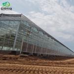 Customization Juxiang Greenhouse's Customizable Commercial Film and Glass