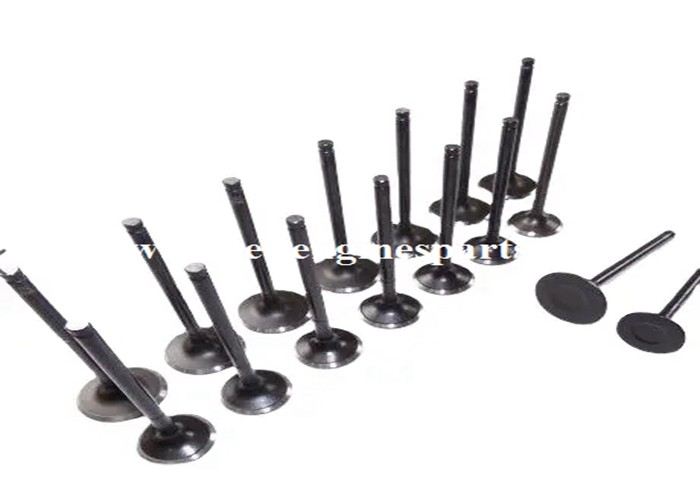 ISO Engine Intake Valve Black Gold Color 20CR Inlet Valve Engine