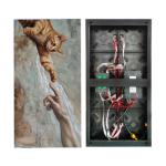 P2.6 Indoor Fixed LED Display SMD2020 500x1000 mm Cabinet For Advertising Video