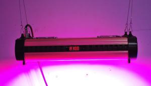 Quality Cidly 250W LED Grow Lights Full Spectrum customized freely wholesale