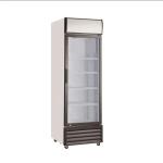 4mm Thick Tempered Silk Screen Printed Refrigerator Glass Door for Home and