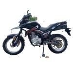 250cc new tekken 250cc RE250 engine motorbike hot selling wholesale Chopper