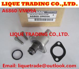 Quality Overhaul kits 294200-0360 294009-0250 for MITSUBISHI 1460A037, NISSAN A6860-VM09A wholesale