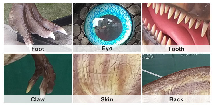 Simulation Life Size Dinosaur Models For Show Museum Customization Acceptable