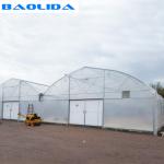 Agriculture Planting Plastic Sheeting Large Scale Steel Frame Greenhouse Multi