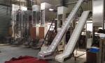 Inclined Belt Chain Conveyor For Conveying Frozen Food Fresh Cherry Burry