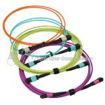 3.0mm MPO Patch Cable