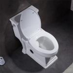 One Piece Elongated Skirted Toilet 1.6 Gpf Siphonic Flushing Toilet White