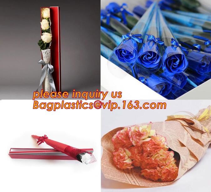 Biodegradable Resealable Clear Plastic Cd Sleeves album Packaging Bags,CD bag PP bag CD protective film for disk bag pac