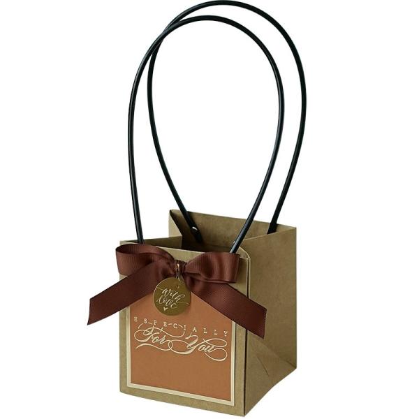 Custom Logo Print Wholesale Grocery White Brown Kraft Paper Gift Bag Cute Craft