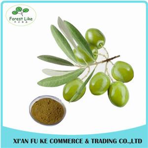High Quality Olive Leaf Extract Oleuropein 25%