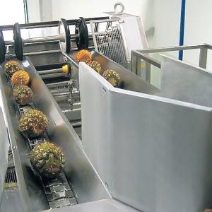 Quality 380V 50Hz Pineapple Processing Line For Concentrated Juice wholesale