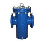 SS304/SS316L Stainless Steel Basket Strainers for Manufacturing Plant