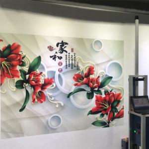 Quality 120w 18㎡/H CMYK 3D Vertical Wall Printer TX800 Nozzles wholesale