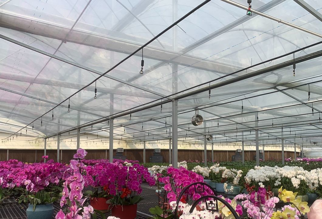Wet Curtain Controlled Inlluminating Greenhouse