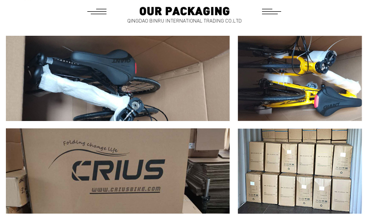 16 Inch Foldable Cycle Pull On Ground Bicycle For Eco-Friendly Transportation