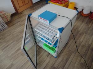 Quality Commercial Automatic Chicken Incubator 250 Eggs wholesale