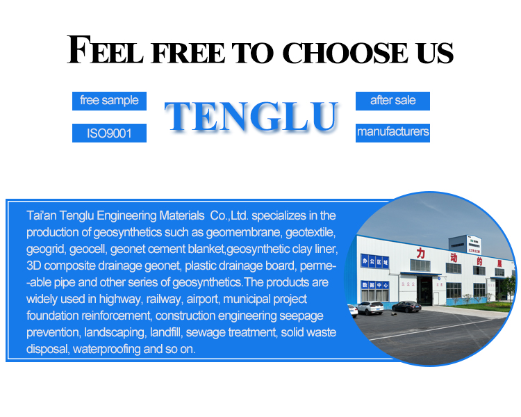 Road Construction Composite Geogrids Uniaxial Plastic Geogrid for Highway Construction