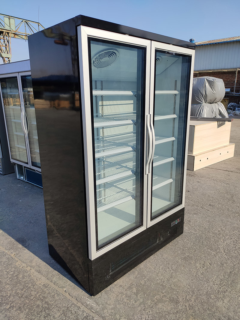 220V Voltage Upright Glass Door Freezer Digital Thermostat Air Cooling R290 Refrigerant