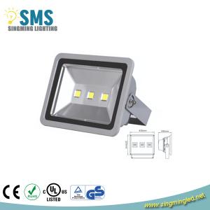 Quality IP65 200W led floodlight wholesale