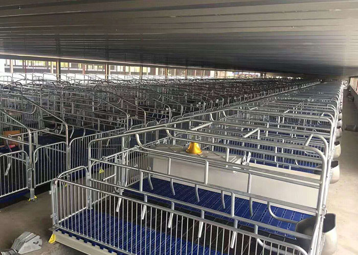 Blue Green 600*600mm PP Plastic Slatted Floor For Pigs Chicken