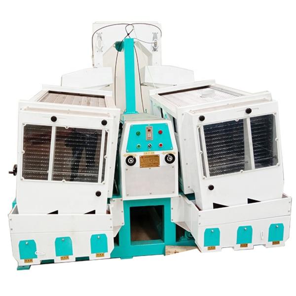 100 Ton/Day Big Turnkey Rice Milling Machinery Work Video Polishing Machine in