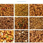 Stainless Steel Dry Dog Food Pellet Making Machine Extrusion