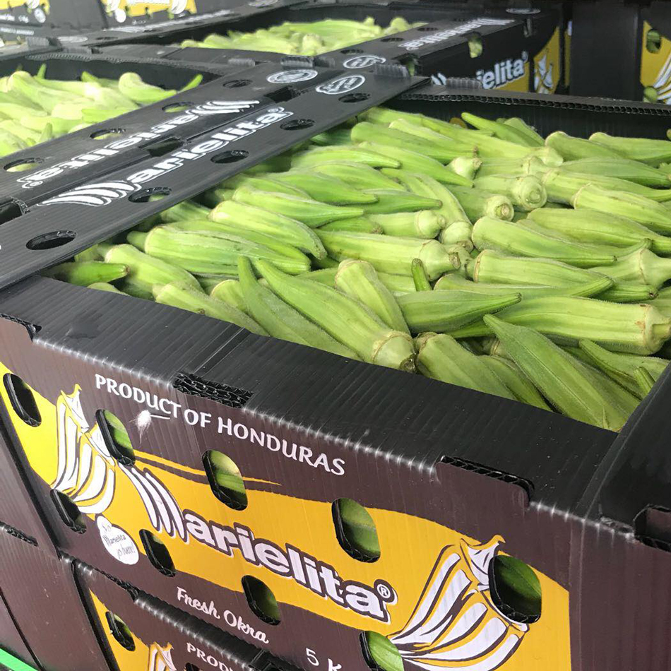 PP Corrugated plastic box vegetable fruit box