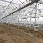 Hot-dipped Galvanized Frame Multi-span Agricultural Film Greenhouse