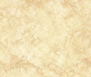 Quality marble color prepainted Steel Coil wholesale