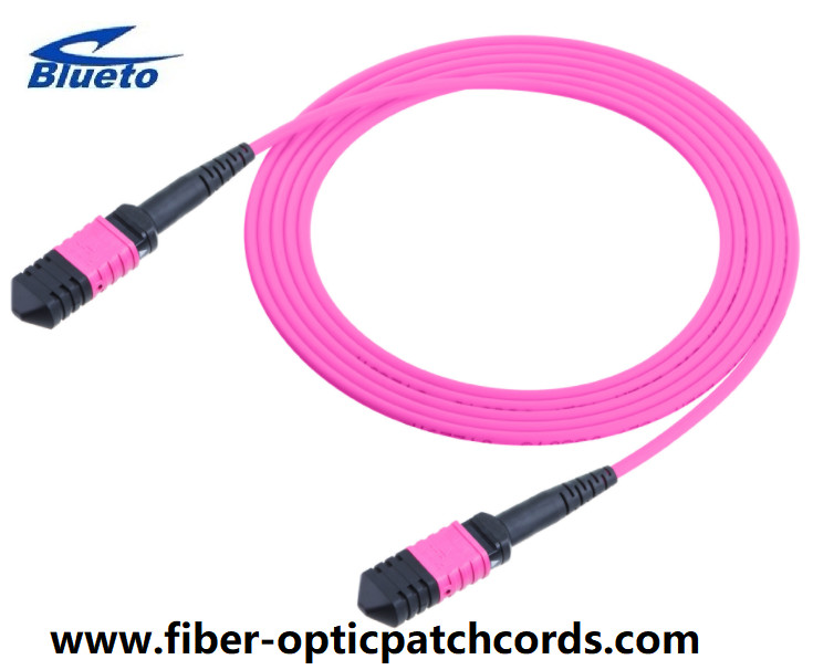 Violet MPO MTP OM4 Fiber Optic Patch Cord 24 Core UPC Polish