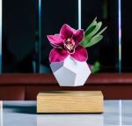 colorful magnetic levitation floating air bonsai plant pot ,magnetic levitation