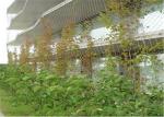 Knotted Stainless Steel Cable Trellis , Cable Wire Mesh For Green Wall