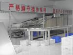 Stainless Steel Chinese Stick Noodle Processing Line With Full Automation
