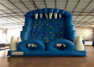 Quality Blue Rock Climbing Bounce House 6 X 4m , Commercial Inflatable Ladder Climb wholesale