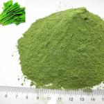 Packaged Healthy Food Spinach Leaves Flakes Powder Dehydrated