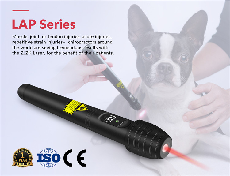 ODM OEM Home Medical Equipment Low Level Green Laser Therapy Equipment Anti Inflammation