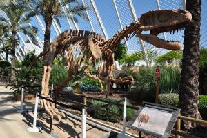 Quality Simulation Fiberglass Complete Dinosaur Fossil For Entertainment Park wholesale