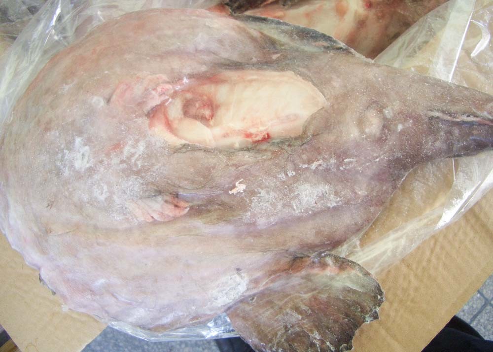 Original Color Fried Monkfish Lophius Litulon Latin Name 500 / 700