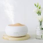 HOMEFISH USB Powered Ultrasonic Aroma Humidifier Tabletop 250ml