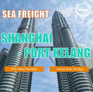 Quality Sea Freight From China to Southeast Asia Indonesia Malaysia Singapore Philippines Vietnam wholesale
