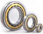 NJ305EM / C3 Flange Inside Ring Single Row Cylindrical Roller Bearings Chrome