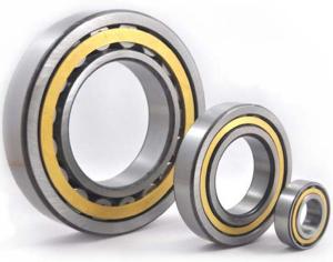 Quality NJ305EM / C3 Flange Inside Ring Single Row Cylindrical Roller Bearings Chrome Steel V3 wholesale
