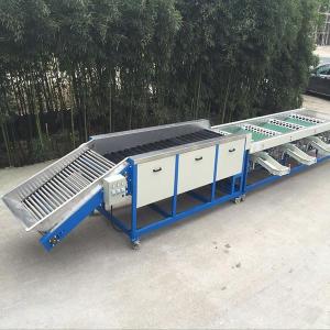 Quality 6.5kw Apple Dates Lemon Mango Fruit Grading Machine wholesale