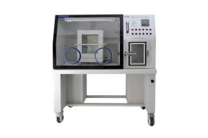 Quality YQX Anaerobic Chamber Incubator Medical Equipment High Performance wholesale