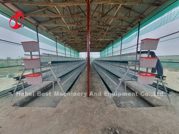 Africa Hot Selling Poultry Farming Cage System 32 doors For Egg Laying Birds Emily
