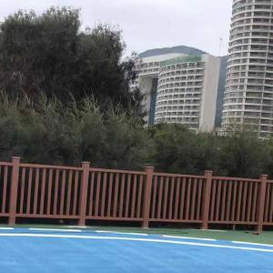 Quality Fire Retardant WPC Hand Railing Design Eco Friendly Modern And Stylish wholesale