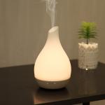 Warm Light 0.65A 180ml Aromatherapy Essential Oil Diffuser 12W